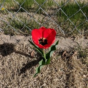 Meet your Posher, Trisha